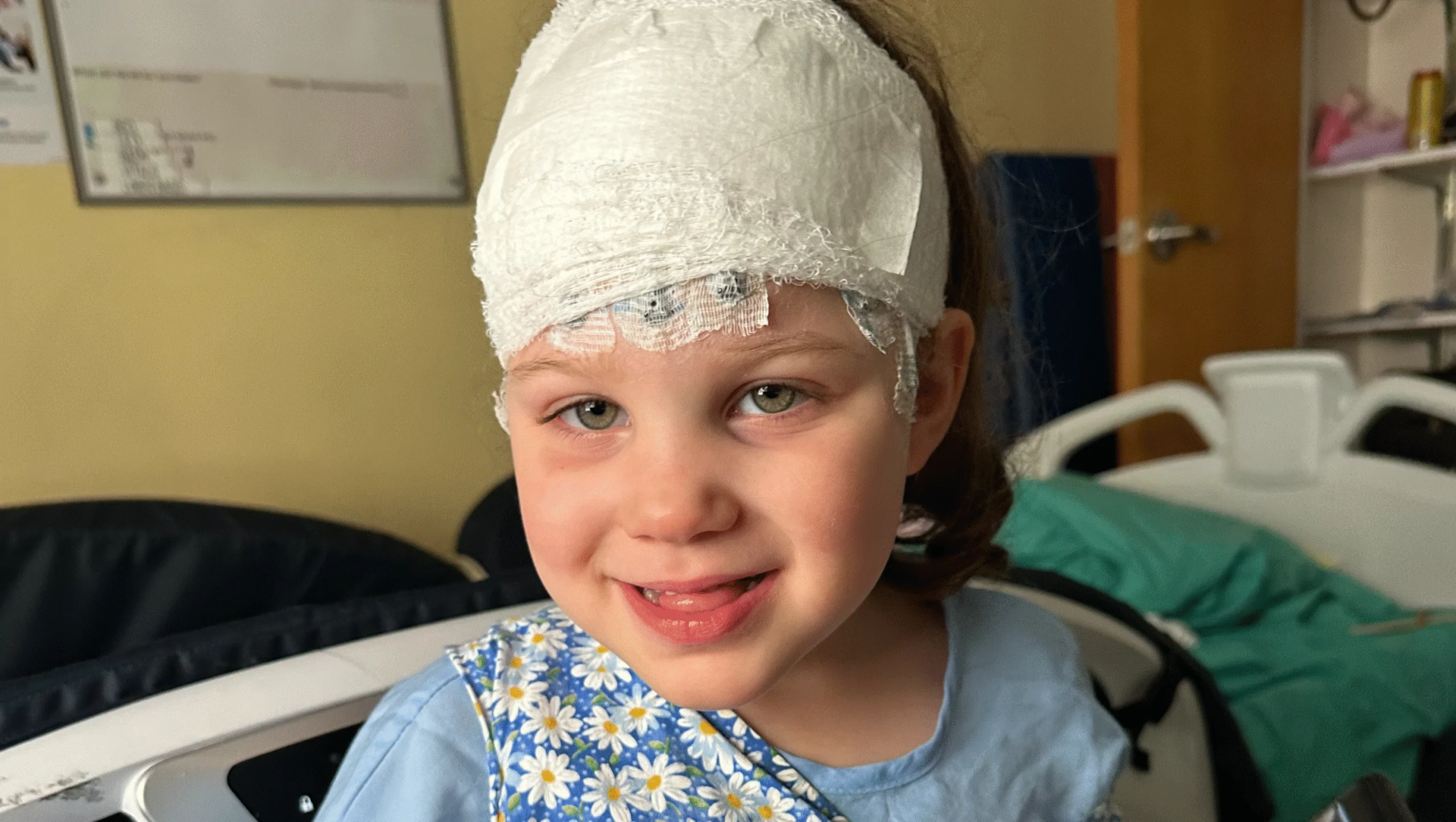 A Mission for Maxie – GoFundMe Fundraiser gofundme Donation Help
