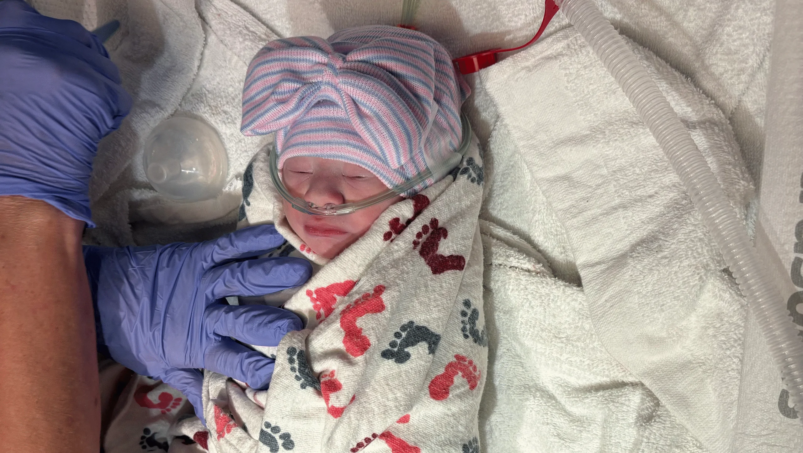 Elaina’s NICU Battle: Your Help Matters – GoFundMe Fundraiser gofundme Donation Help
