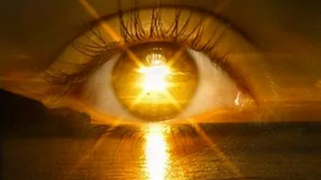 Brother James Seeks Help for Tim’s Eyes – Fundraiser Donation Help