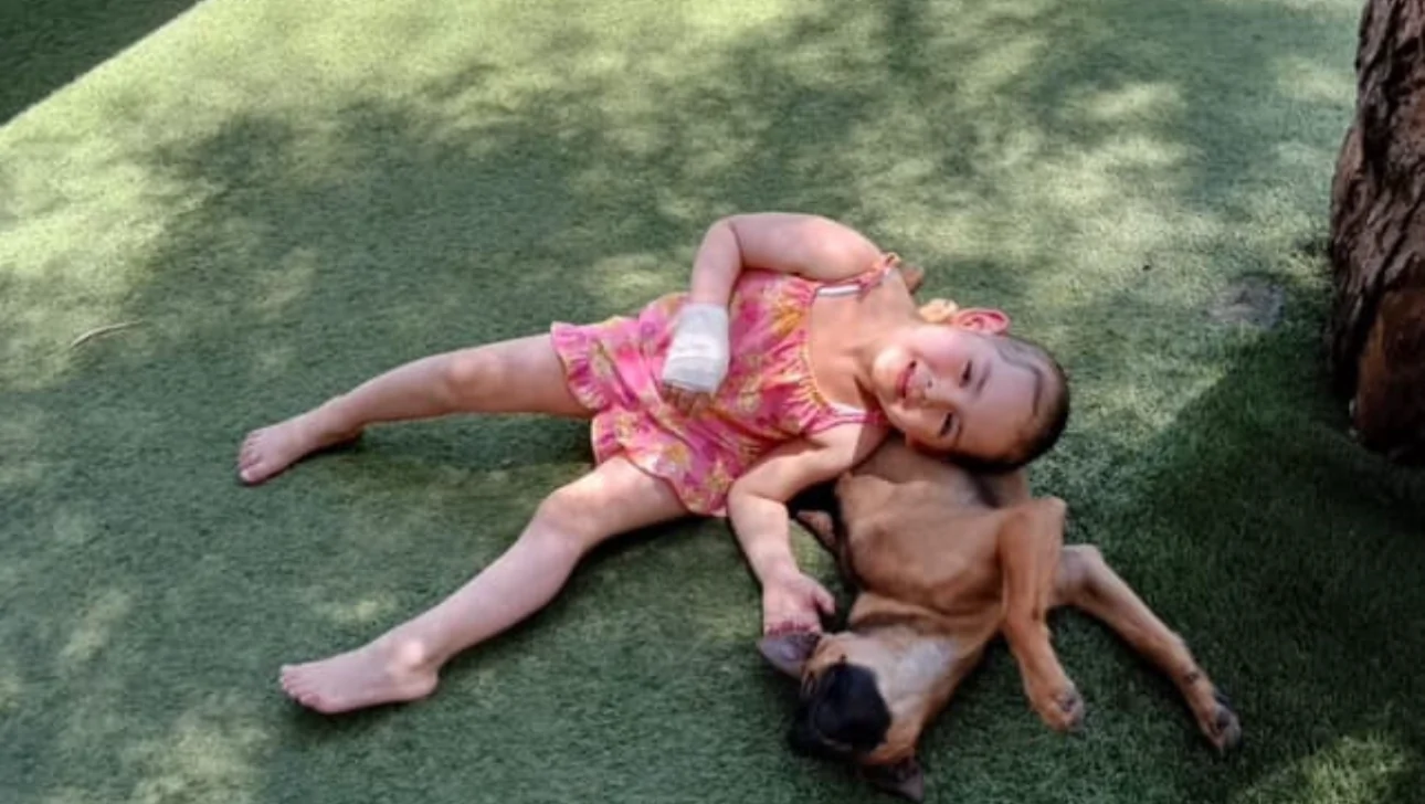 Help our 4yr Old Valentina Beat Leukemia Again – GoFundMe Fundraiser gofundme Donation Help